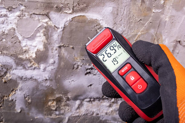 Best Mold Testing and Inspection Services in Kimberly, WI