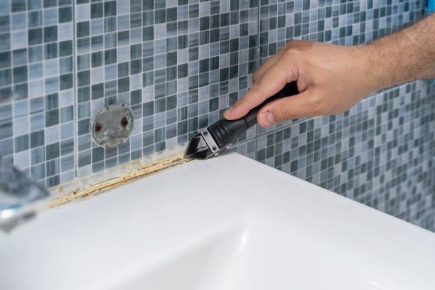 Best Basement Mold Remediation in Kimberly, WI